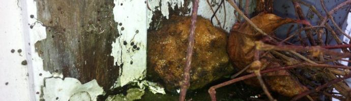 Wanneer is het buitenschilderwerk nodig?